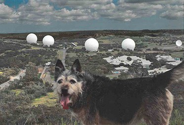In the foreground a scruffy black, grey and tan dog looks into the camera, behind are five large, white spherical structures in a green landscape.