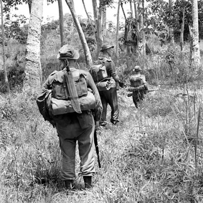 Soldiers patrolling through jungle