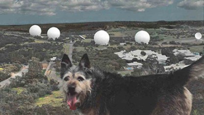 In the foreground a scruffy black, grey and tan dog looks into the camera, behind are five large, white spherical structures in a green landscape.